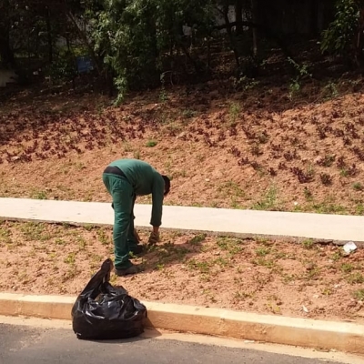 Áreas Verdes