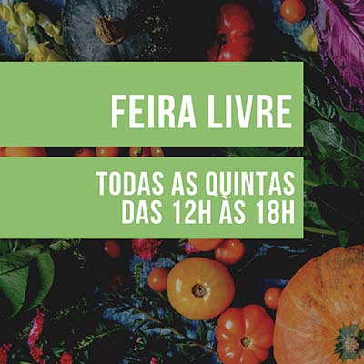 Resultado da pesquisa